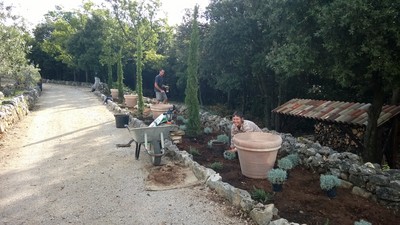 Work with a smile - Nadine and Nico planting cyprus trees and even more lavender.