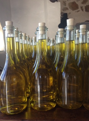 Bottled Oil from Le Mas