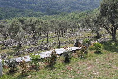 Solar panels to heat the pool against the backdrop of our olive terraces